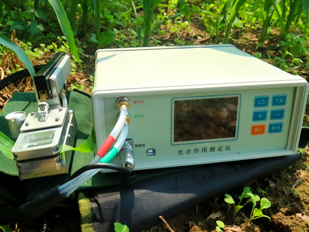 新款FS-3080D光合作用測定儀
