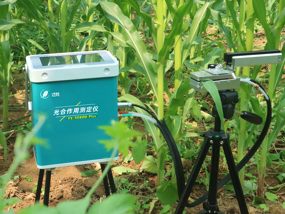 FS-3080D Plus光合作用測定儀