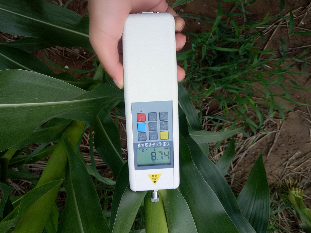 泛勝DDZ系列植物抗倒伏測定儀