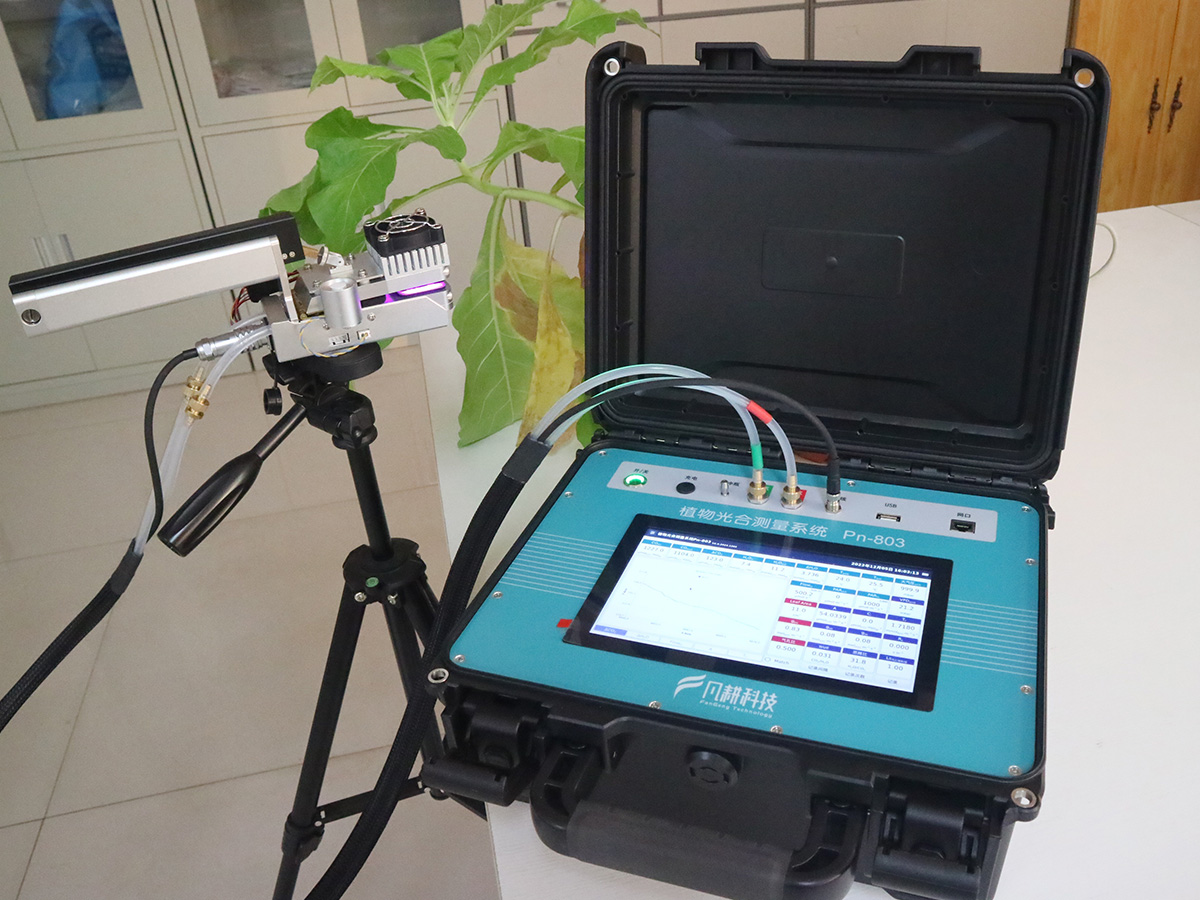 Pn-803植物光合測量系統